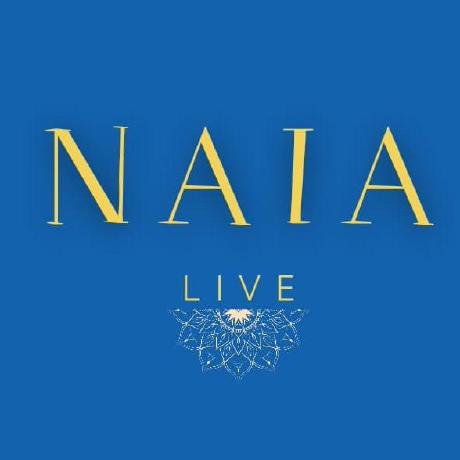 Github Naia Lib Naia A Cross Platform Including Wasm Networking - Premium Vintage Background Gallery - Mobile