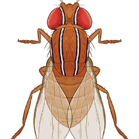 Ericksonp Priscilla Erickson Github