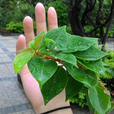 May 77 Tech May Github - Download Perfect City Pattern | Full HD