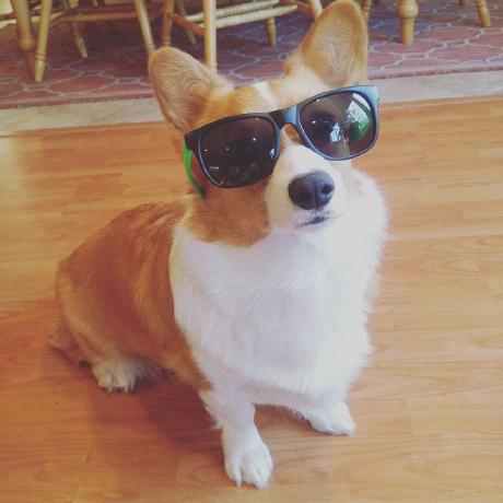 Christopher Thai Dev Community - Download Premium Ocean Photo | Ultra HD