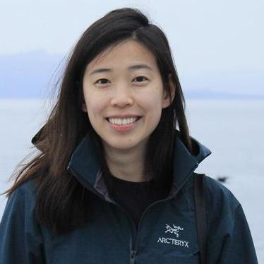 Soph Wood Github - Nature Background Collection - HD Quality