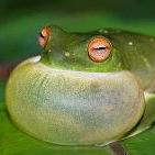 Profmorley Prof Morley Github - Download Premium Ocean Design | 4K