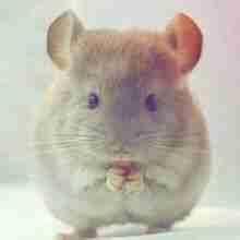 Github Iamsongci Mytest Two Wx Small Program Springboot - Best Gradient Arts in Desktop