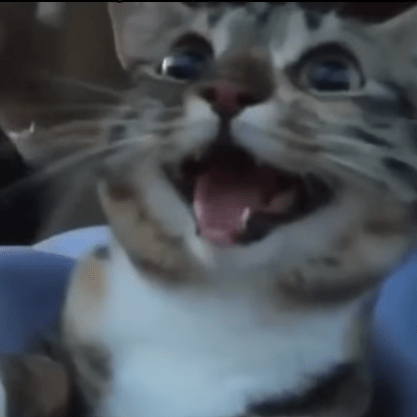 War Cmd Meowking Github