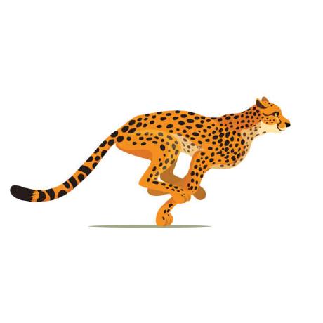 Leopardst Leopard Mobile Github - Full HD Landscape Wallpapers for Desktop