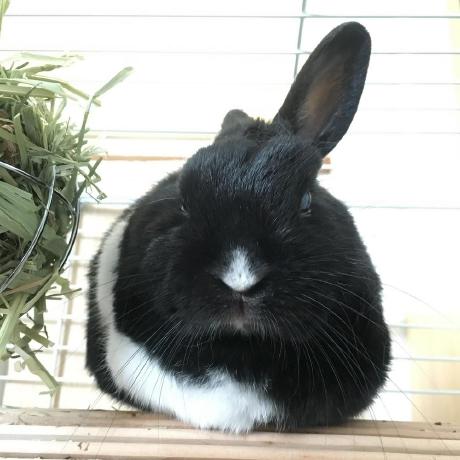 Melo 1017 Melozhang Github - Geometric Wallpaper Collection - Mobile Quality