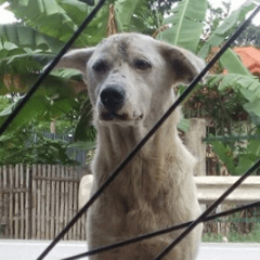 Numpde Github Topics Github - Ultra HD Light Textures for Desktop