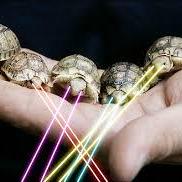 Github Roguelazer Turtles Turtles - Best Space Images in 4K