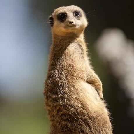 Github Lydia Hahamaza Project - Premium Minimal Image Gallery - HD