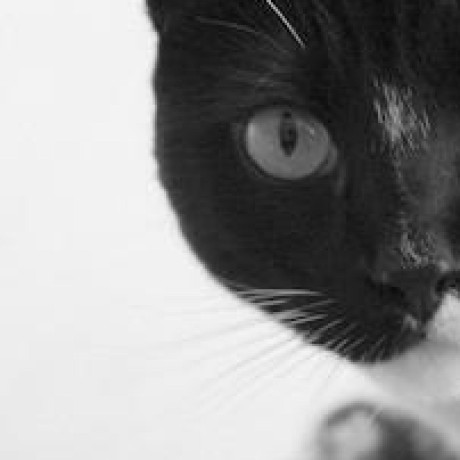 Darrinps Darrin Github - Best Colorful Textures in High Resolution