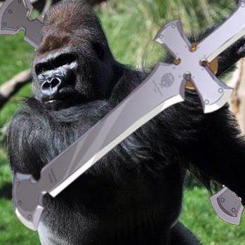 Github Akashpatil3640 St - Gorgeous Ocean Image - Ultra HD