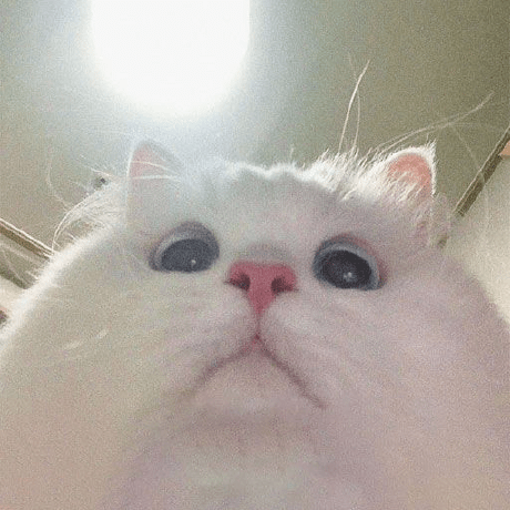 Releases Shaggymop Boltfn Github - Premium Space Image Gallery - Retina