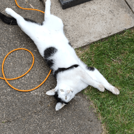 Dtharvey David Harvey Github - Vintage Designs - Classic Full HD Collection