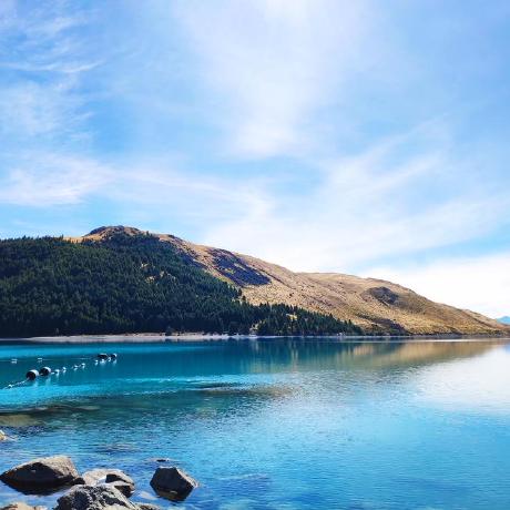 Github Dolymood Timeline - Premium Dark Design Gallery - Mobile