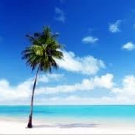 Echenley Evan Henley Github - Download Ultra HD Mountain Illustration | Ultra HD