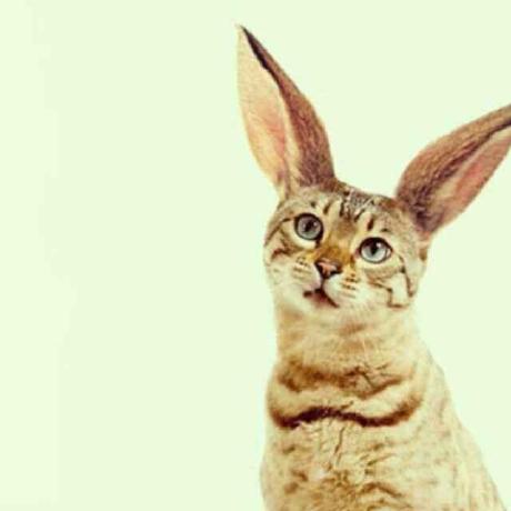 Github Xuyangbai Awesome Point Cloud Registration A Curated List Of - Full HD Nature Textures for Desktop