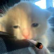 Gddrew Gregory Drew Github - Space Pattern Collection - 8K Quality