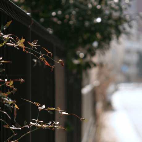 Github Y Koji Winhook - Download Gorgeous Abstract Picture | 8K