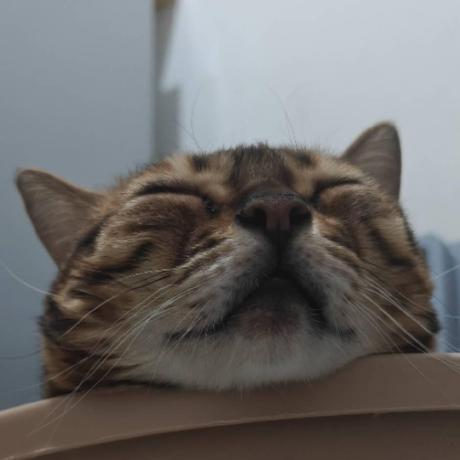 Qatest Inc Github - Best Light Images in Retina