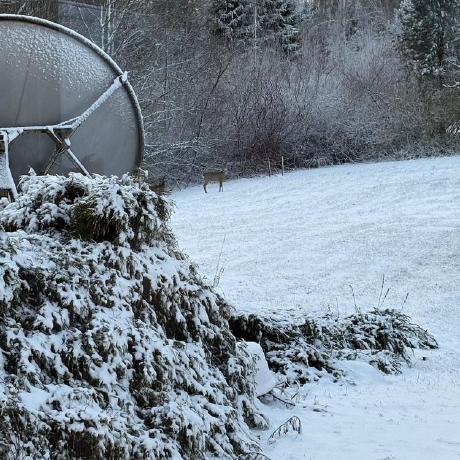 Wheel Tenders Github - Stunning High Resolution Colorful Textures | Free Download