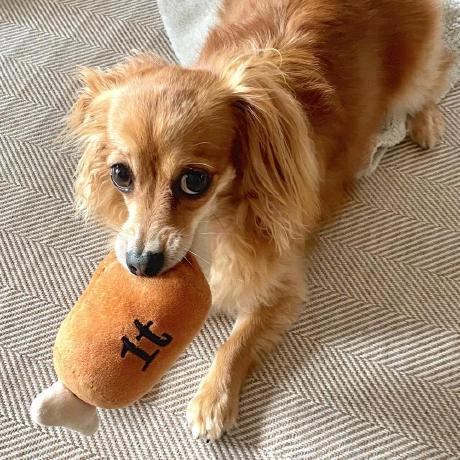 Cbit Miyata Github - Professional High Resolution Mountain Backgrounds | Free Download