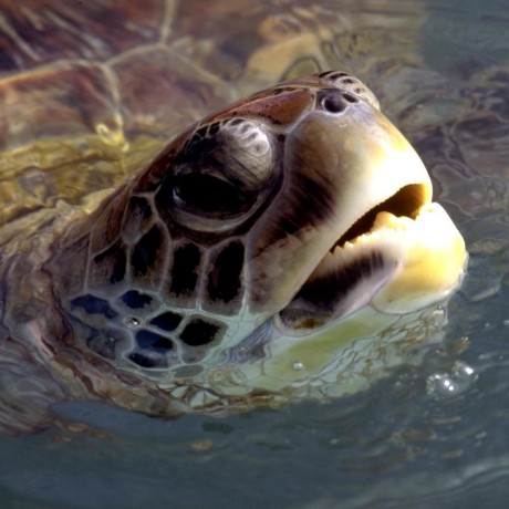 Theimagestop Gregt Github - Download Stunning City Picture | 4K