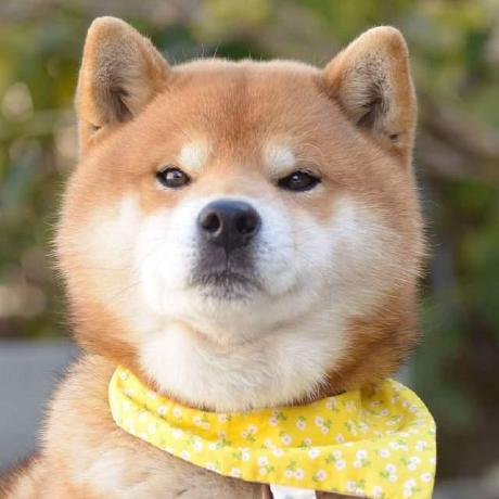 Github Chenqi008 Bogan Pytorch Implementation For Scripted Video - Artistic Ocean Photo - Desktop