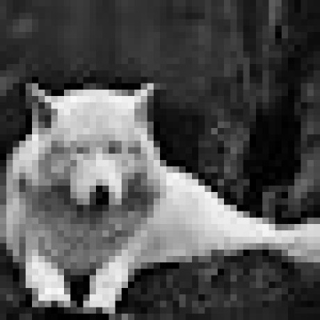 Godmid Darkfox Github - Modern 4K Minimal Designs | Free Download