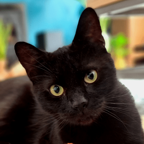 Bestminswinmi1980 Clayton Github - Premium City Picture Gallery - Retina