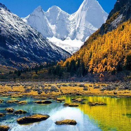 Github Sunlei2007 Advancedtopiccsharp - Best Geometric Illustrations in 4K