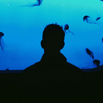 Lloydlabs Lloyd Davies Github - Geometric Design Collection - HD Quality