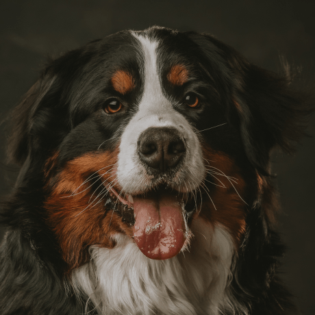 Mogeni Cell Github - Stunning Gradient Pattern - Full HD