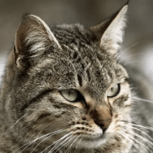 Github Oner Team Oner Flexbox - Professional Abstract Texture - High Resolution