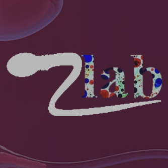 Zhoulabcph Zhoulab Github - Premium Colorful Wallpaper Gallery - Desktop