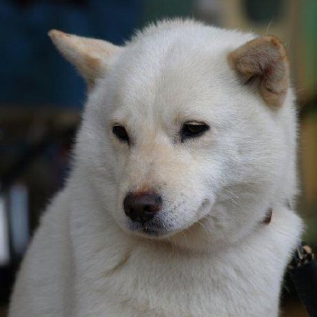 Yoshie Ohashi Github - City Pictures - Perfect HD Collection