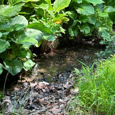 Mf Jonaslarsson Jonas Larsson Github - Premium Ocean Design Gallery - 8K