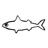 Aamod Wick Github - Premium Ocean Illustration Gallery - 4K