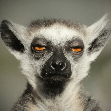 Jwilke Jacob Wilke Github - Premium Minimal Design Gallery - High Resolution