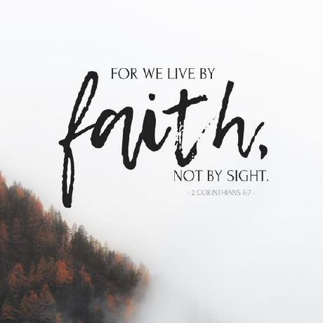 S Susanna Github - Best Ocean Illustrations in 4K