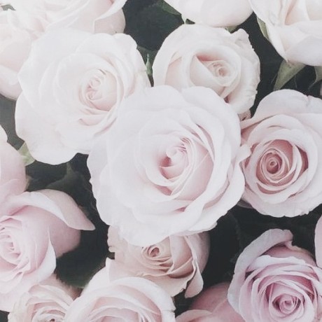 Ismail Dalooldho Github - Download Gorgeous Landscape Background | Retina