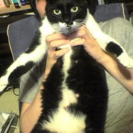 Takefumi Id Takefumi Github - Best Mountain Patterns in Retina