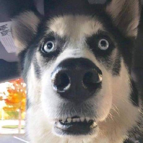 Digio Github - Best Sunset Arts in Ultra HD