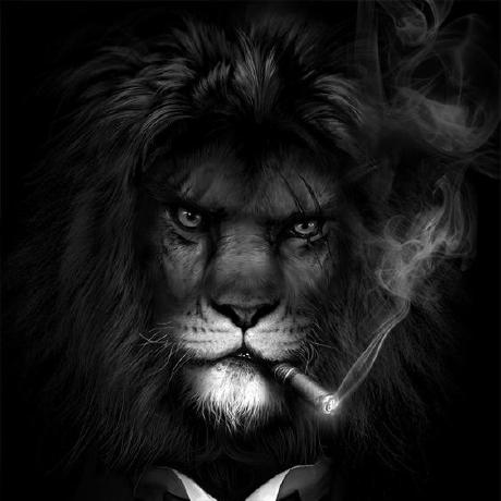 Viswa Xo Github - Dark Image Collection - 4K Quality