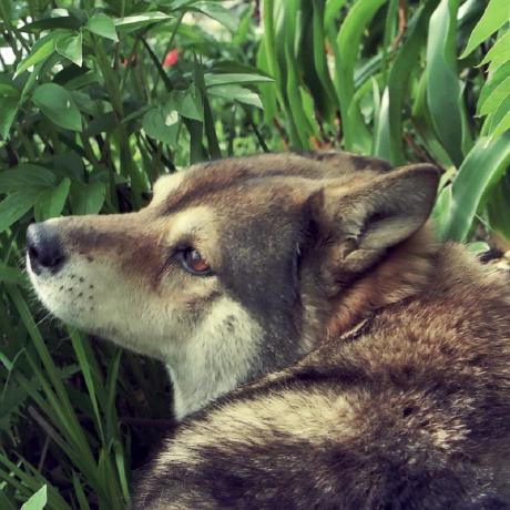 Ryoji A Github - Best Gradient Images in 4K