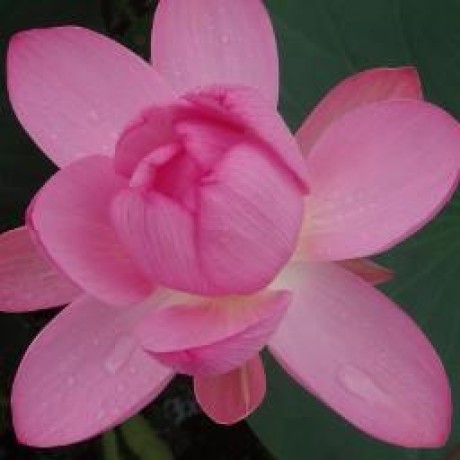 Valkurosawa Akihiro Kurosawa Github - Ultra HD Gradient Images for Desktop