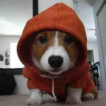 Dan Burk Daniel Burkhalter Github - HD Dark Illustrations for Desktop