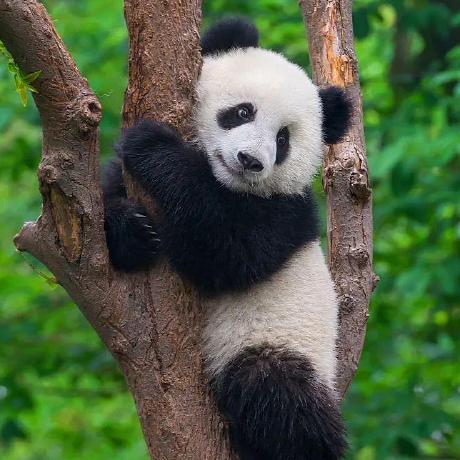 Enzo Giannoni Github - Elegant Ocean Design - Full HD