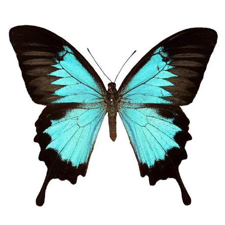 Teal Coe Github - City Pattern Collection - Desktop Quality