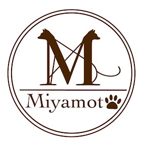 Github Takeshi Miyamoto Dev Env - Premium High Resolution Gradient Wallpapers | Free Download