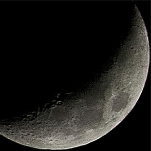 Tranquility Hr Github